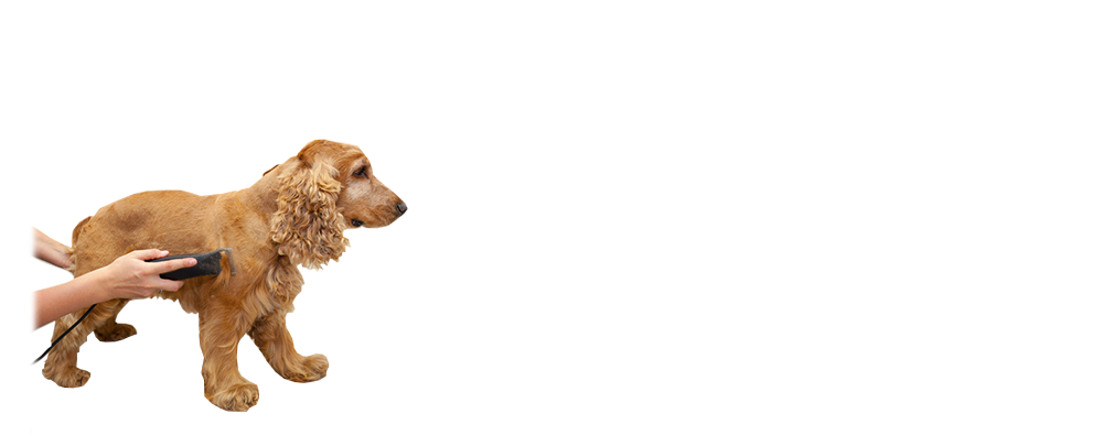 Clipper Blade Sharpening